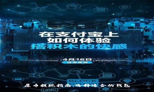 屎币提现指南：选择适合的钱包