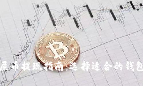 屎币提现指南：选择适合的钱包