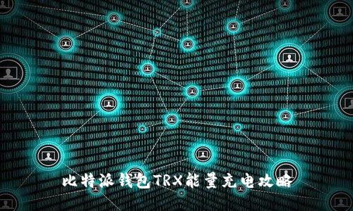 比特派钱包TRX能量充电攻略