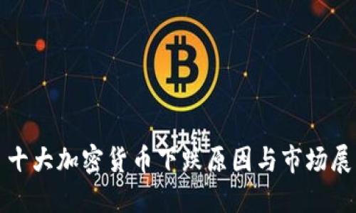 : 十大加密货币下跌原因与市场展望
