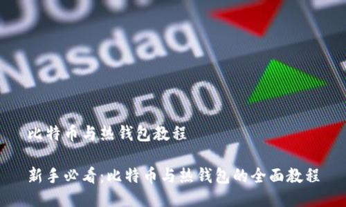 比特币与热钱包教程

新手必看：比特币与热钱包的全面教程