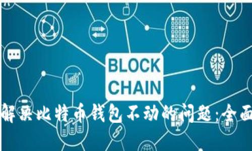 如何解决比特币钱包不动的问题：全面指南