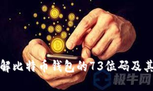 深入了解比特币钱包的73位码及其重要性