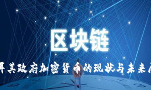 土耳其政府加密货币的现状与未来展望