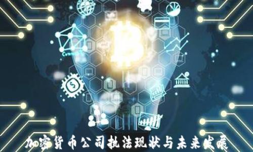 
加密货币公司执法现状与未来发展