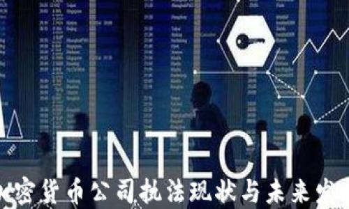 
加密货币公司执法现状与未来发展