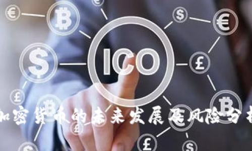 加密货币的未来发展及风险分析