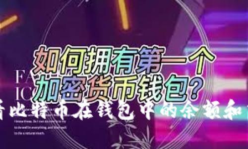 如何查看比特币在钱包中的余额和交易记录