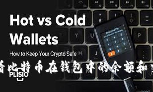 如何查看比特币在钱包中的余额和交易记录