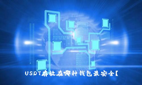 USDT存放在哪种钱包最安全？