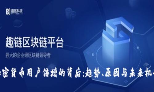加密货币用户倍增的背后：趋势、原因与未来机会