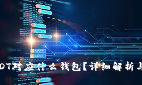 : USDT对应什么钱包？详细解析与推荐