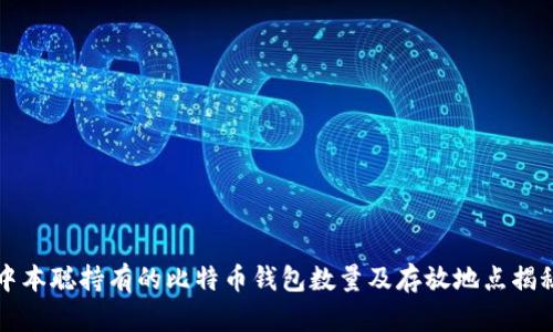 中本聪持有的比特币钱包数量及存放地点揭秘