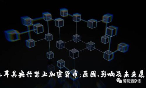 土耳其央行禁止加密货币：原因、影响及未来展望