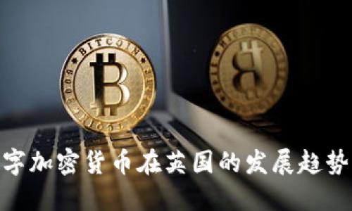 :2023年数字加密货币在英国的发展趋势与投资指南