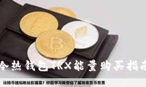 冷热钱包TRX能量购买指南