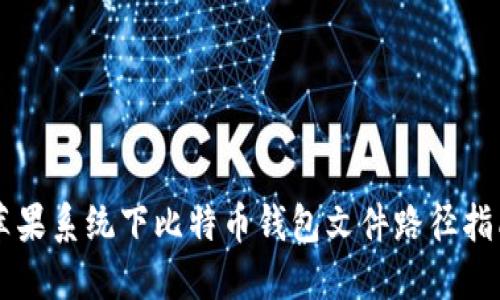 苹果系统下比特币钱包文件路径指南