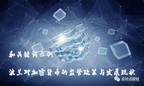 和关键词示例

波兰对加密货币的监管政策与发展现状