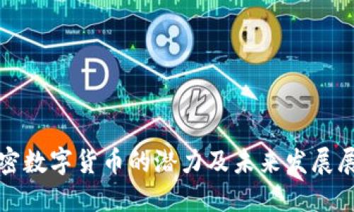 加密数字货币的潜力及未来发展展望