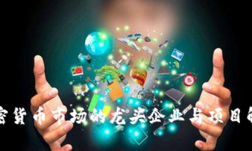 加密货币市场的龙头企业与项目解析