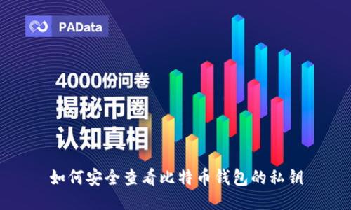 如何安全查看比特币钱包的私钥