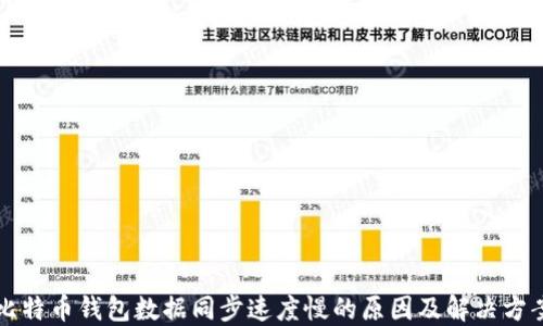 
比特币钱包数据同步速度慢的原因及解决方案
