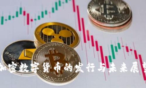 加密数字货币的发行与未来展望