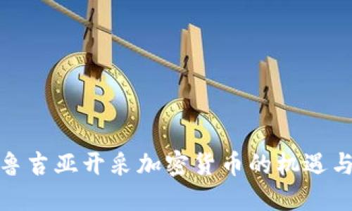 在格鲁吉亚开采加密货币的机遇与挑战