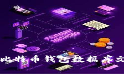 如何找到比特币钱包数据库文件的位置