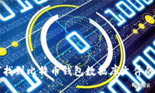 如何找到比特币钱包数据库文件的位置