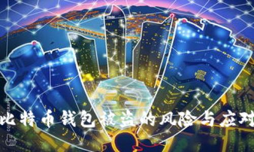 濮阳比特币钱包被盗的风险与应对策略