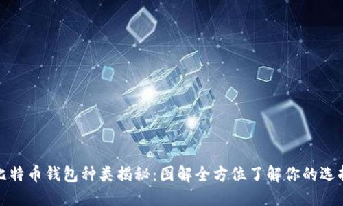 比特币钱包种类揭秘：图解全方位了解你的选择