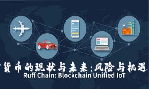 加密货币的现状与未来：风险与机遇并存
