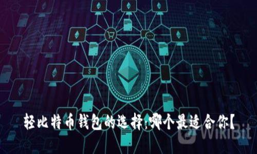 轻比特币钱包的选择：哪个最适合你？