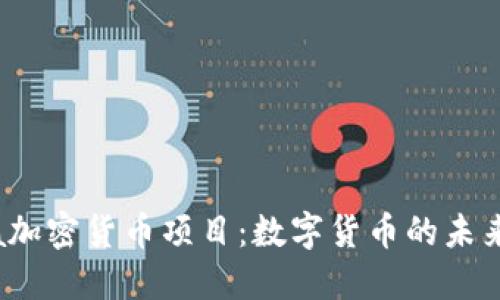 Libra加密货币项目：数字货币的未来之路