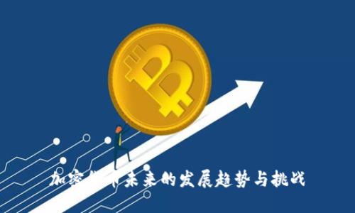加密货币未来的发展趋势与挑战