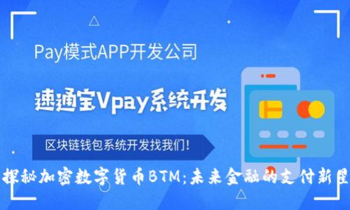 探秘加密数字货币BTM：未来金融的支付新星