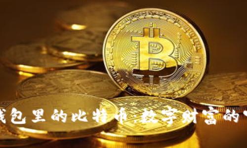 完美钱包里的比特币：数字财富的守护者