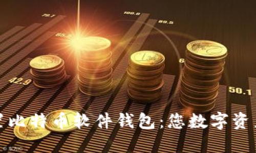 如何轻松设置比特币软件钱包：您数字资产的安全之旅