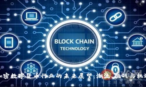加密数字货币行业的未来展望：潮流、挑战与机遇