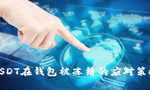 USDT在钱包被冻结的应对策略