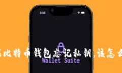 如果比特币钱包忘记私钥，该怎么办？