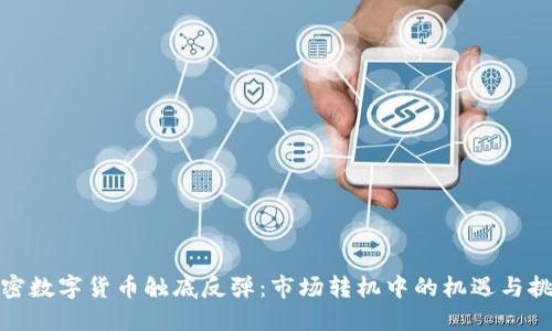 加密数字货币触底反弹：市场转机中的机遇与挑战