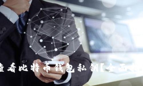 bitalti如何查看比特币钱包私钥？全面指南与安全提示