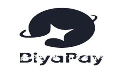 如何安全下载和使用Token钱包：全面指南