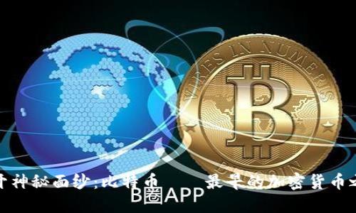 揭开神秘面纱：比特币——最早的加密货币之旅