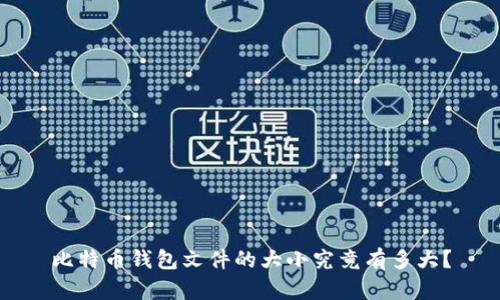 比特币钱包文件的大小究竟有多大？