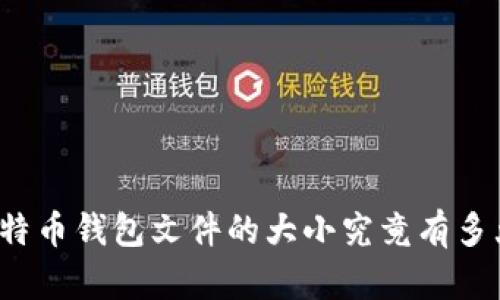 比特币钱包文件的大小究竟有多大？