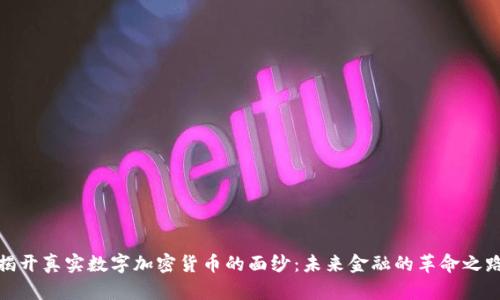 揭开真实数字加密货币的面纱：未来金融的革命之路