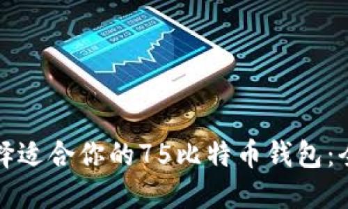 如何选择适合你的75比特币钱包：全面指南